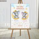Canvas print vaptism, elephants twins