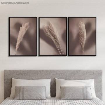 Brown reeds, poster 3 panels