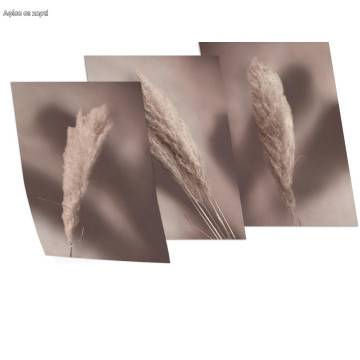 Brown reeds, αφίσα, κάδρο, 3πτυχο 2