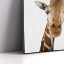 Kids canvas print Giraffe