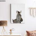 Πίνακας παιδικός σε καμβά Ζέβρα (zebra)