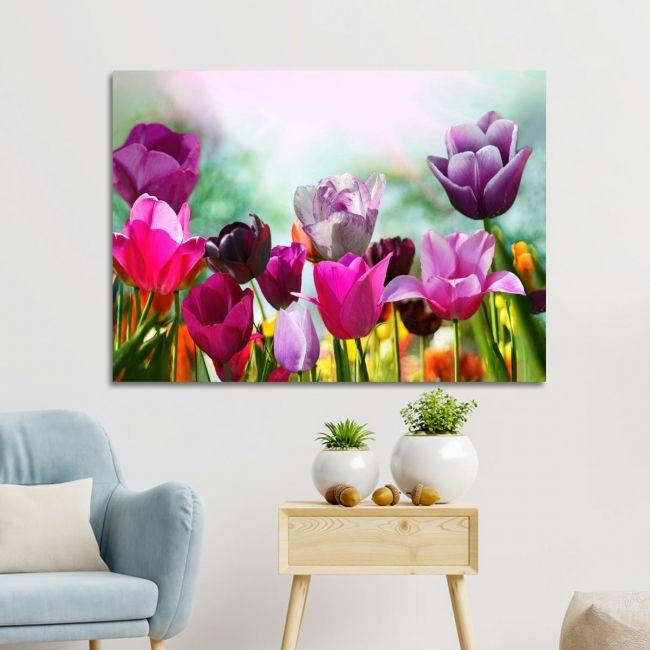 Canvas print Beautiful spring tulips