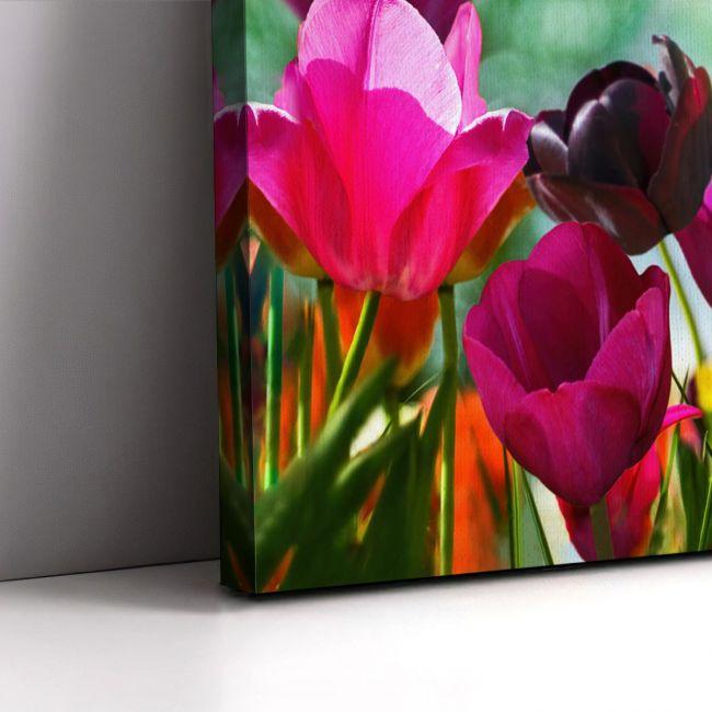 Πίνακας σε καμβά Τουλίπες, Beautiful spring tulips