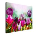 Canvas print Beautiful spring tulips