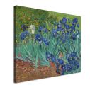 Πίνακας ζωγραφικής Irises, Vincent van Gogh
