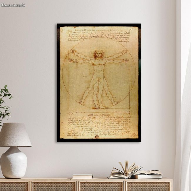 Canvas print The vitruvian man by Leonardo da Vinci