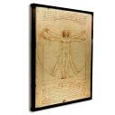 Canvas print The vitruvian man by Leonardo da Vinci
