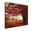 Canvas print Red forest