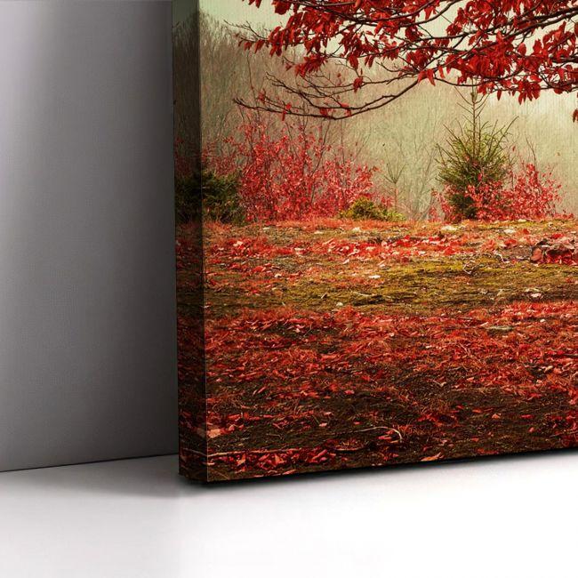 Πίνακας σε καμβά Δάσος Red forest Καμβάς τελαρωμένος, 6