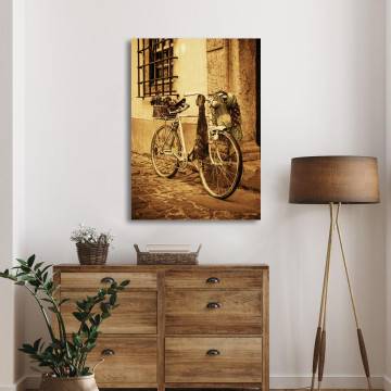 Πίνακας σε καμβά Ποδήλατο Vintage bicycle Καμβάς τελαρωμένος Όψη 1 2
