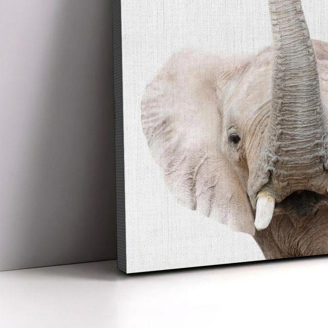 Kids canvas print Bubble elephant