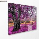 Canvas print Park, Purple dream