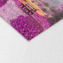 Canvas print Park, Purple dream