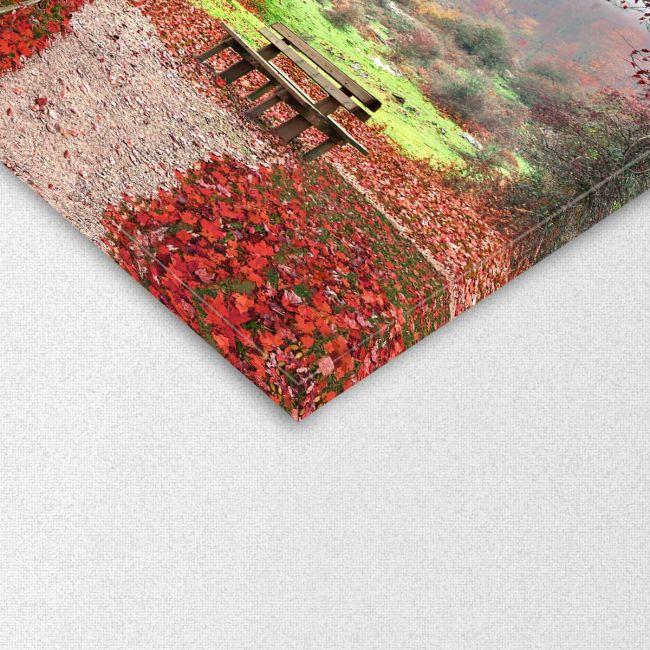 Canvas print Red leaves
