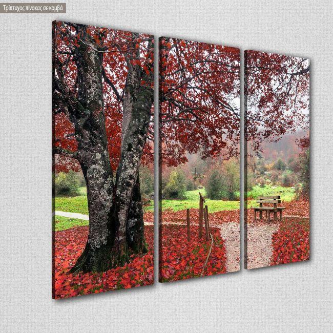 Canvas print Red leaves,3 panels