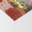 Canvas print Red leaves,3 panels
