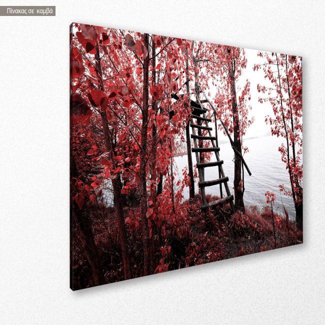 Canvas print Park of Pateira de Fermentelos I