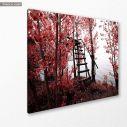 Canvas print Park of Pateira de Fermentelos I