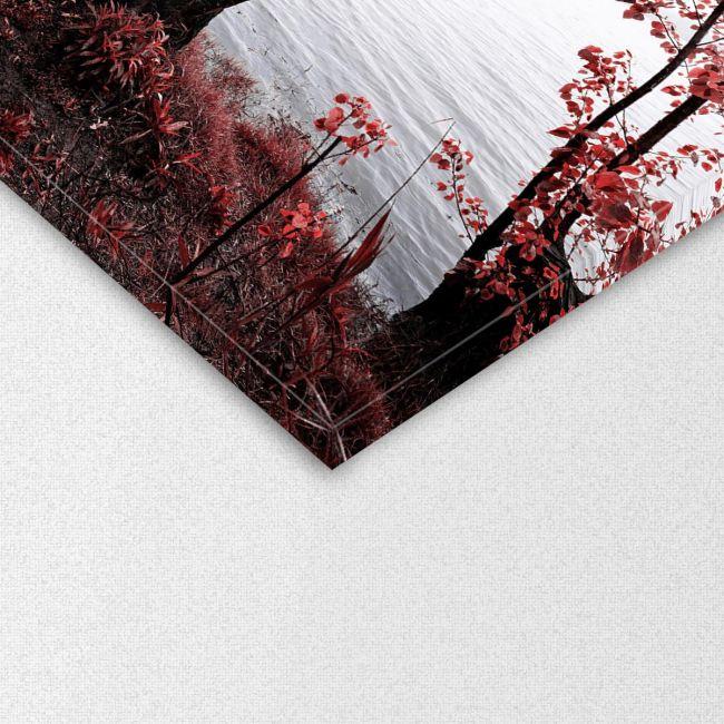 Canvas print Park of Pateira de Fermentelos I