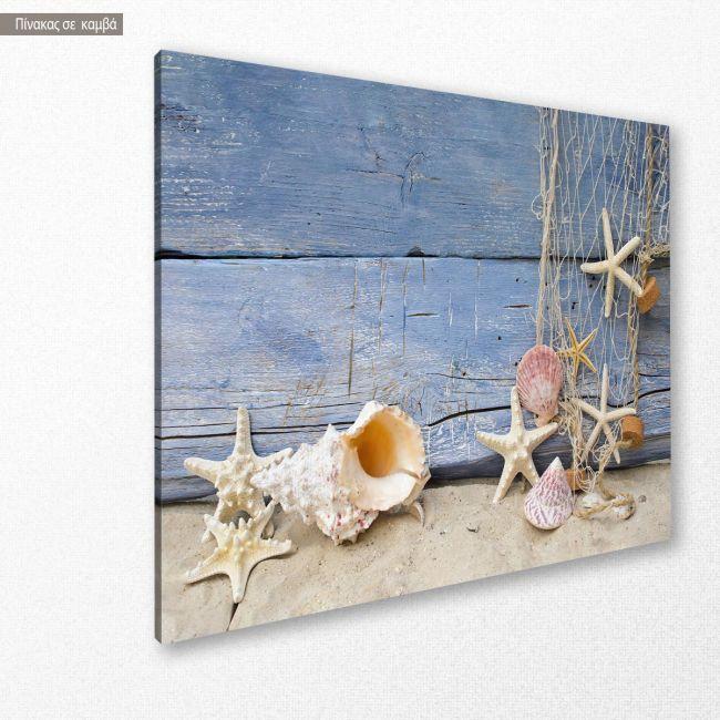 Canvas print Nautilus and starfish