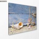 Canvas print Nautilus and starfish