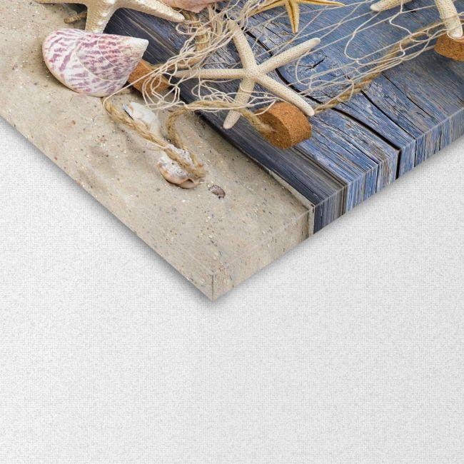 Canvas print Nautilus and starfish