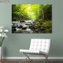Canvas print Mountain river