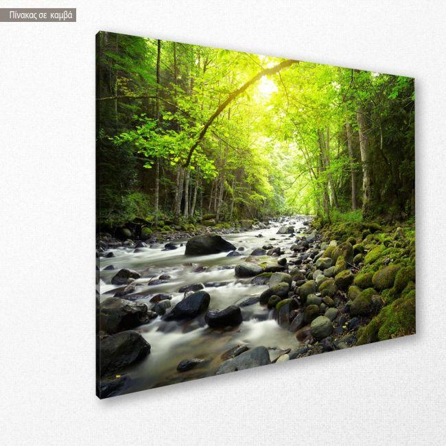 Canvas print Mountain river