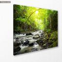 Canvas print Mountain river