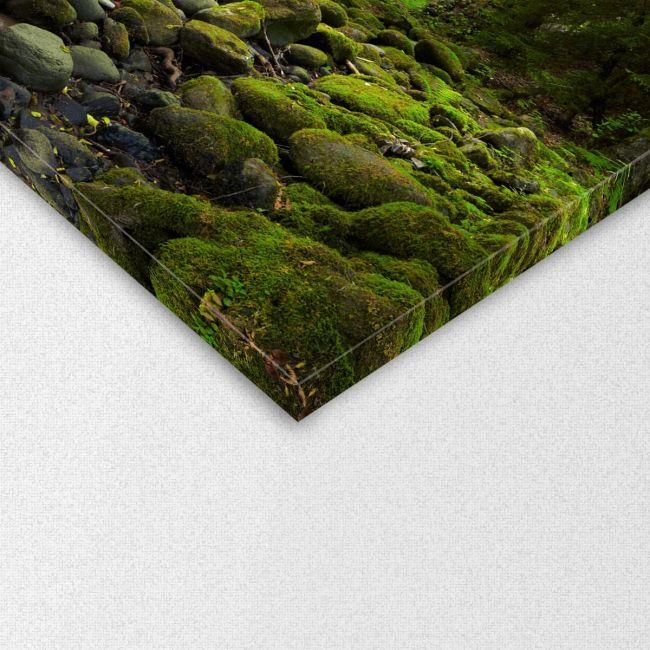 Canvas print Mountain river