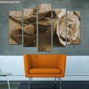 Canvas print Rose on wood, sepia five panels