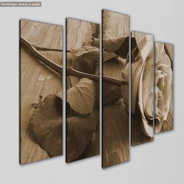 Canvas print Rose on wood, sepia five panels 2