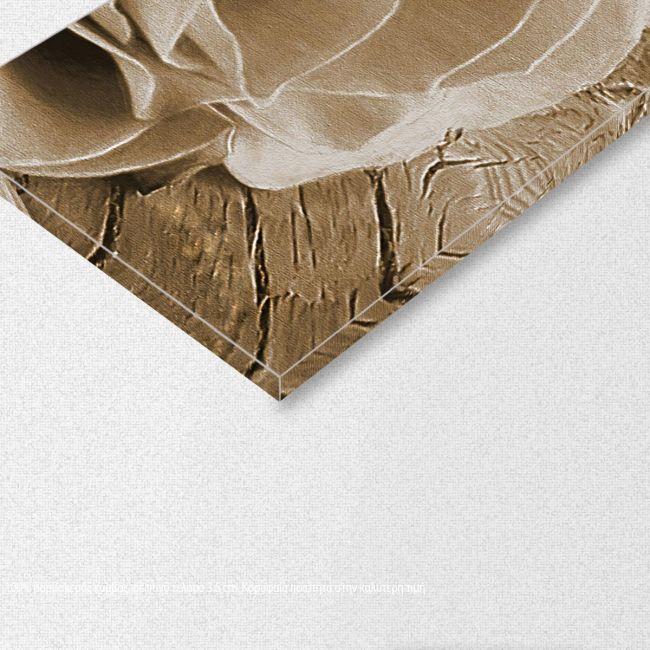 Πίνακας σε καμβά Rose on wood, sepia, πεντάπτυχος, λεπτομέρεια