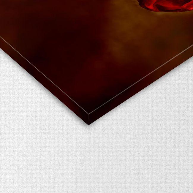 Πίνακας σε καμβά Woman in red dress horizontal