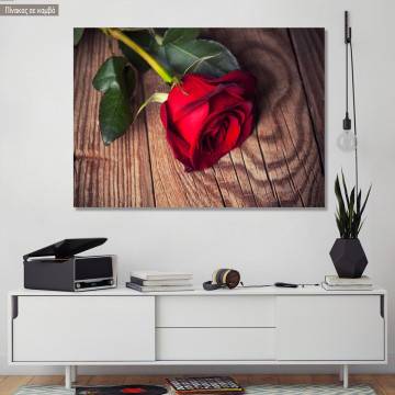 Πίνακας σε καμβά Τριαντάφυλλο, Red rose