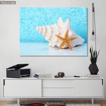 Canvas print Conch shell and starfish