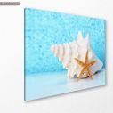 Canvas print Conch shell and starfish