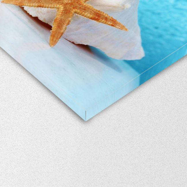 Canvas print Conch shell and starfish