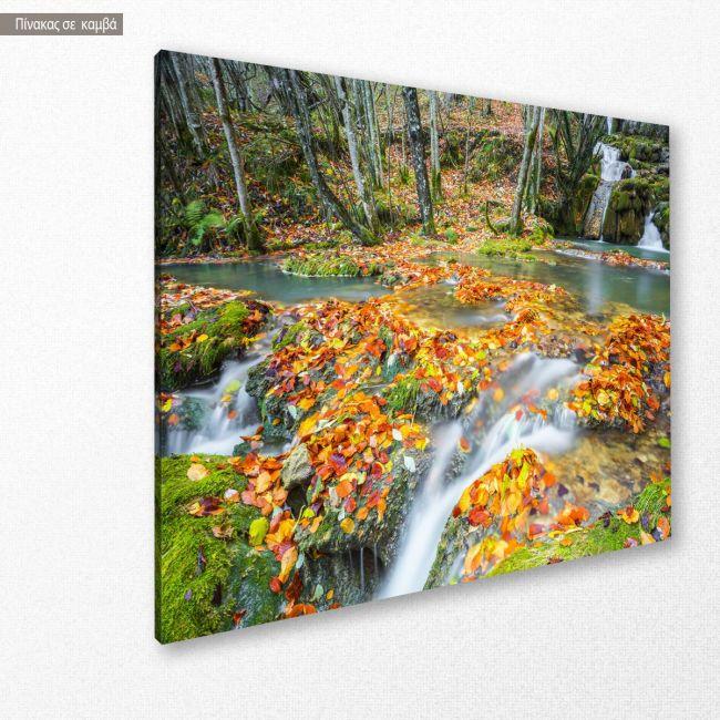 Canvas print Waterfalls at Entzia