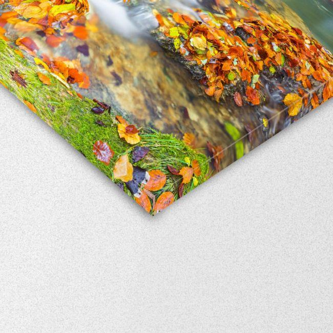 Canvas print Waterfalls at Entzia