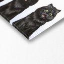 Canvas print Five black cats, Wain L, panoramic