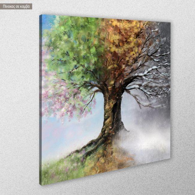 Canvas print Four season tree, square