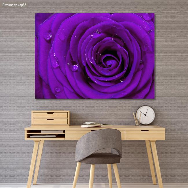 Πίνακας σε καμβά Τριαντάφυλλο, Purple rose