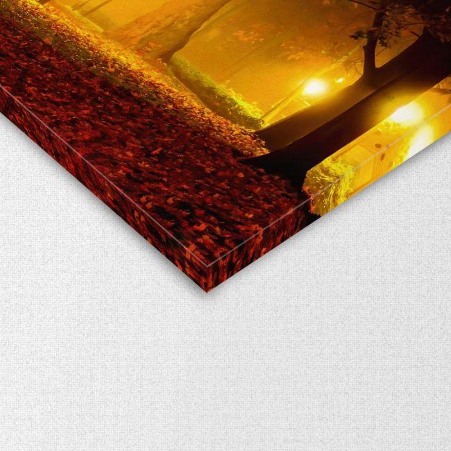 Canvas print Park, Light path