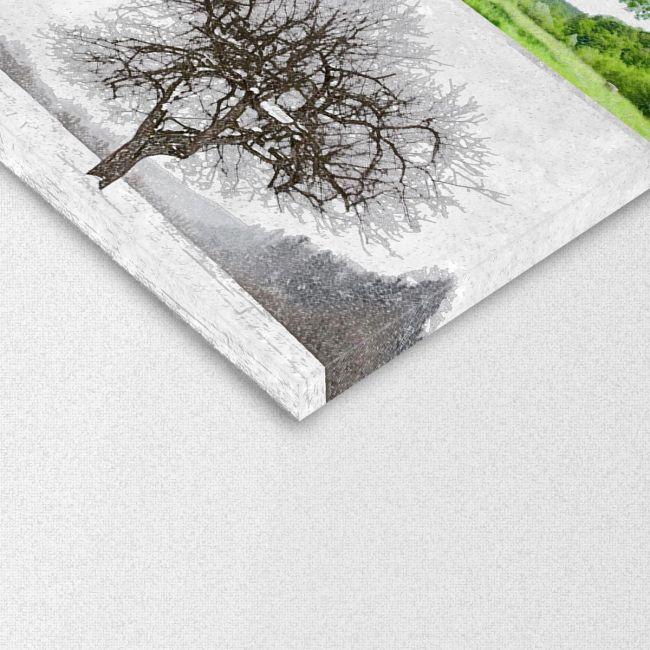 Canvas print Four seasons