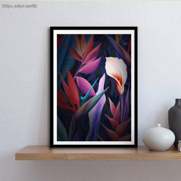 Succulent plants, poster