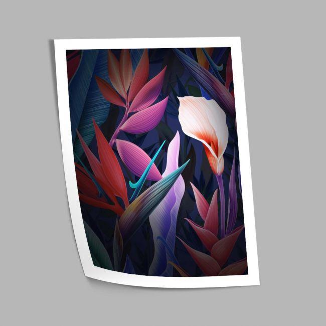 Succulent plants, poster