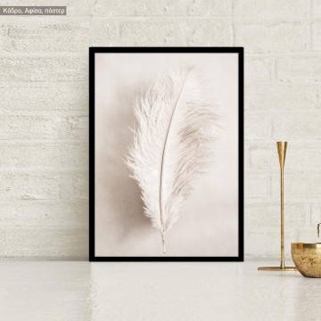 Light brown feather, poster