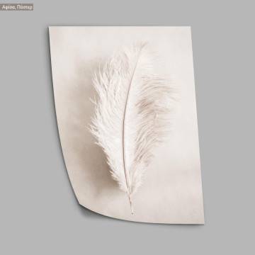 Light brown feather, αφίσα, κάδρο 2
