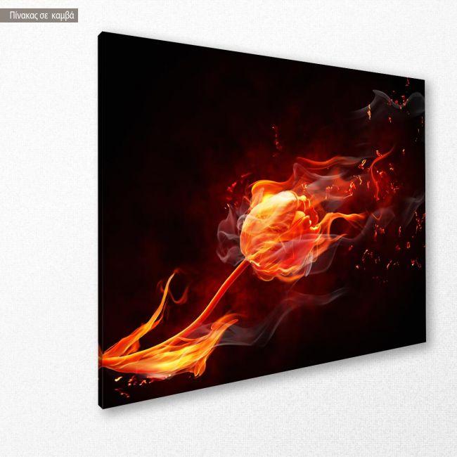 Canvas print Tulip on fire